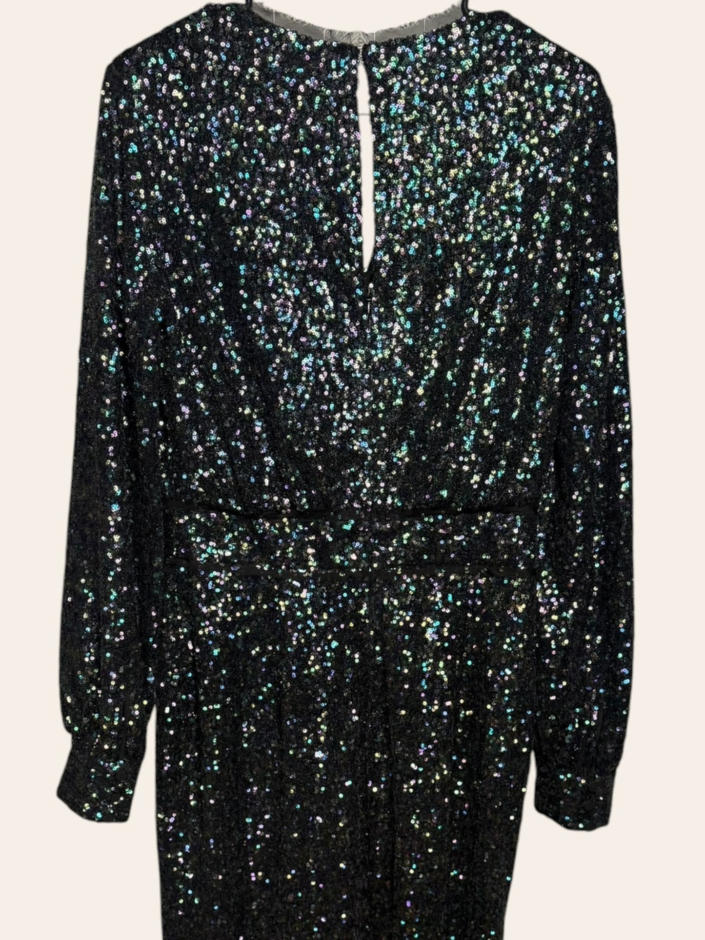 Rachel Zoe Purple Iridescent Gown