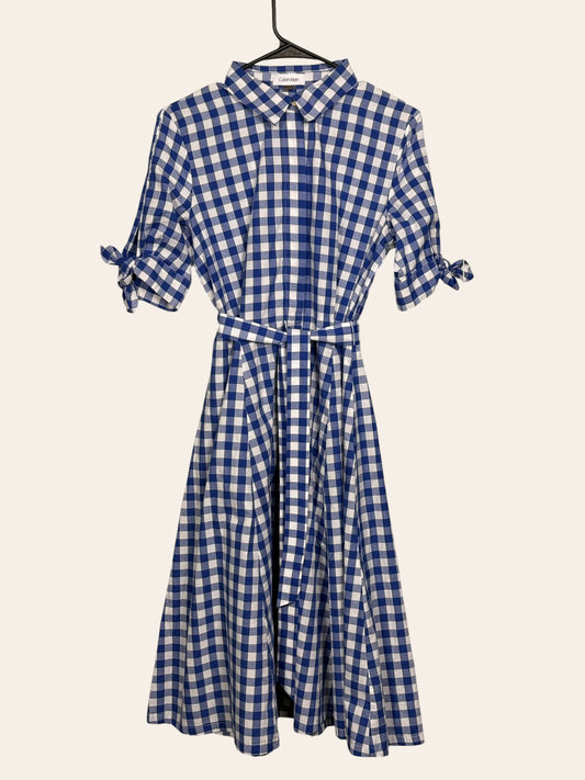 Calvin Klein Picnic Dress