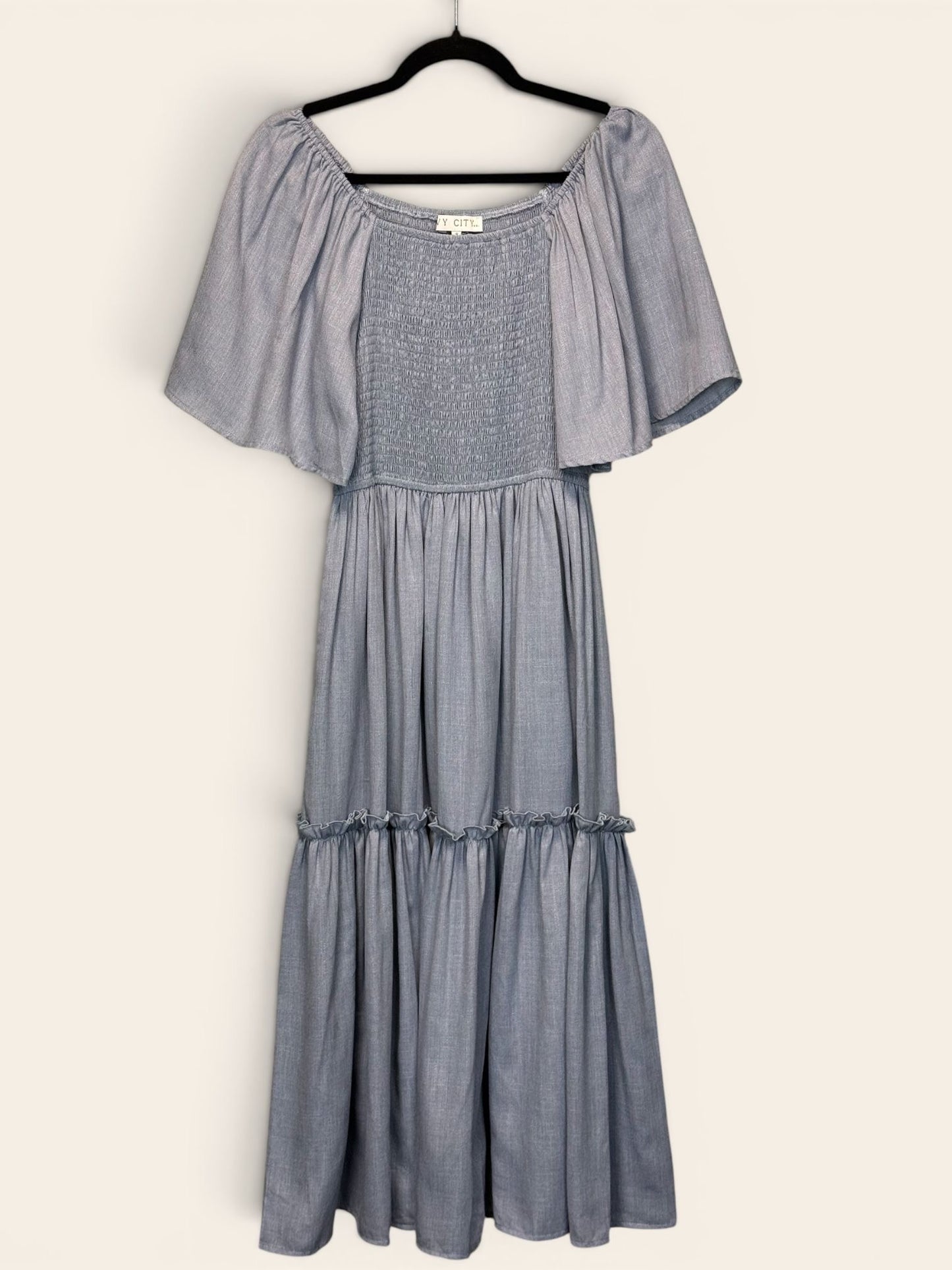 Ivy City Denim Dress