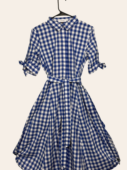 Calvin Klein Picnic Dress