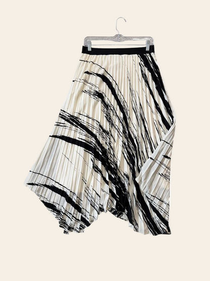 Express Pleated Pattern Skirt